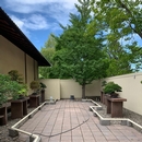 Jardin Bonsaï - Jardin Japonais