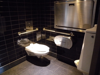 Toilette accessible