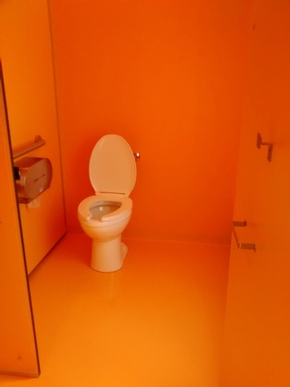 Toilette accessible mixte