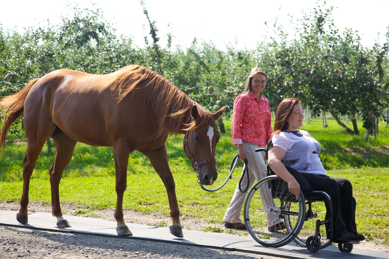 Personne en fauteuil roulant et un cheval