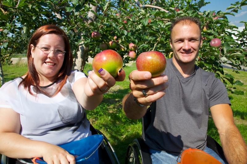 Deux personnes en fauteuil roulant présentant des pommes dans leur main