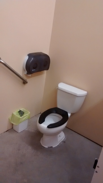 Toilette partiellement accessible