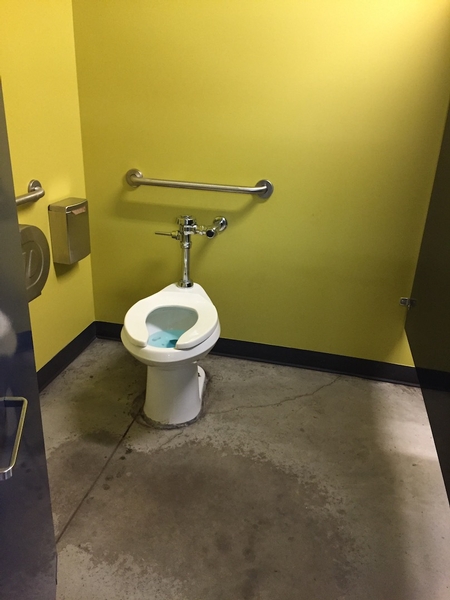 Cabinet accessible - Salle de toilettes femmes