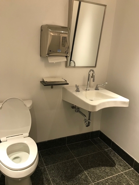 Salle de toilette mixte aménagée pour les personnes handicapées