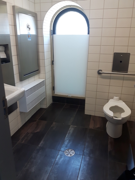 Salle de toilette à cabinet unique (Niveau 2)
