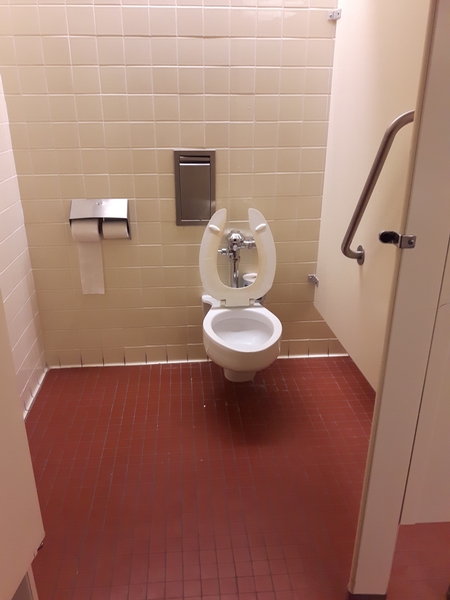 Salle de toilette partiellement accessible au Niveau Bibliothèque