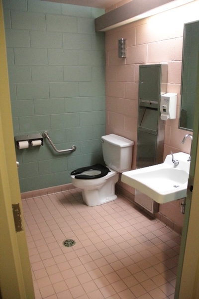 Salle de toilette à cabinet unique - femmes