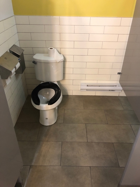cabinet de toilette aménagé pour les personnes handicapées mais sans barre d'appui