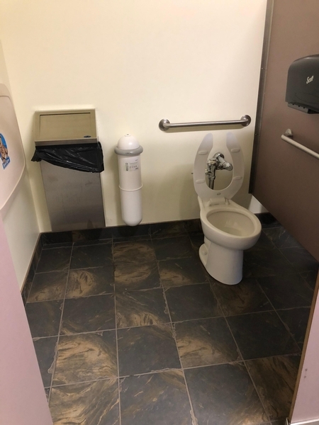 Cabinet de toilette pour femmes aménagé pour les personnes handicapées