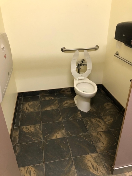 Cabinet de toilette pour hommes aménagé pour les personnes handicapées