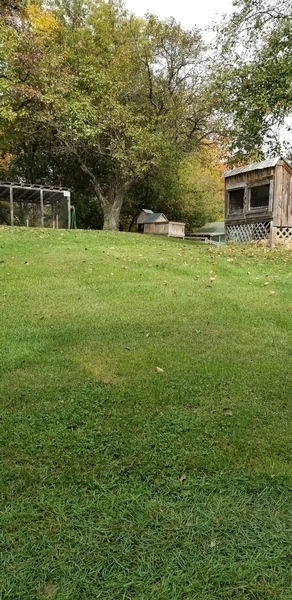 mini-ferme sur pelouse dans de petites collines