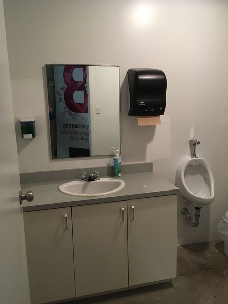 Salle de toilette mixte lavabo