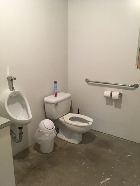 Salle de toilette mixte cuvette et urinoir