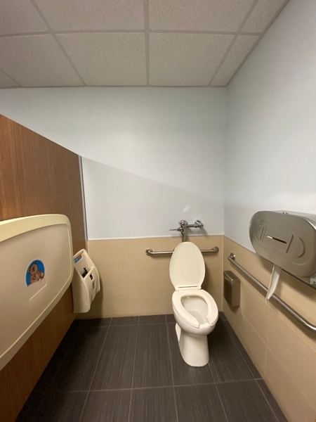 Cabinet toilette accessible 