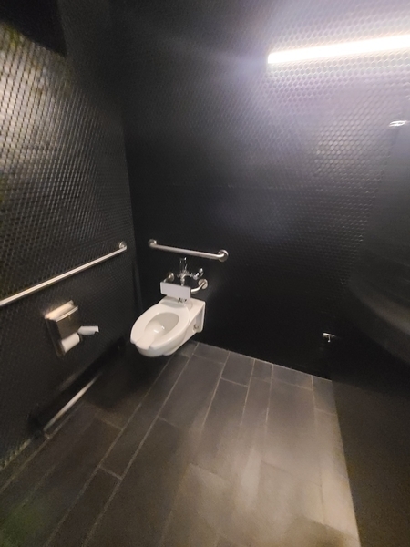 Cabinet dans la salle de toilette des hommes (près de la réception)