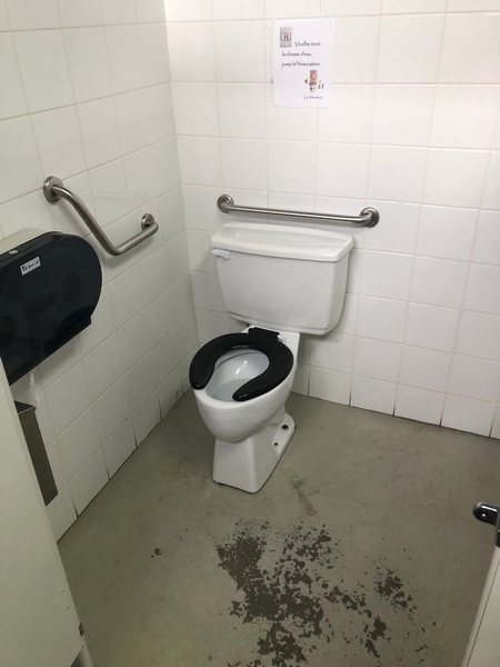 La salle de toilette pour femme