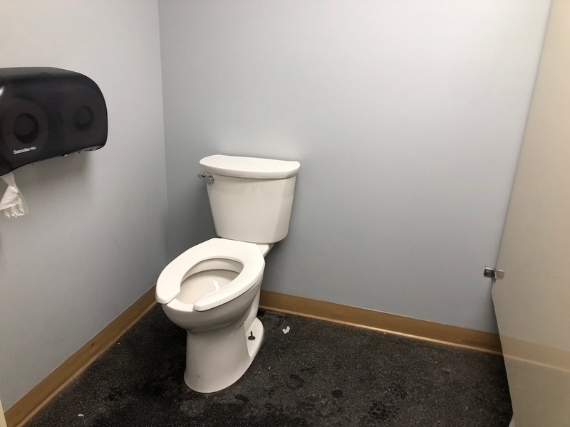Cabinet de la salle de toilette pour femme