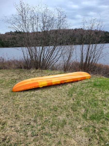 Kayak