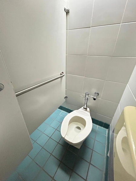 Cabinet de toilette restreint avec barre d'appuie