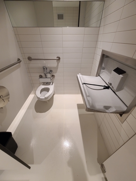 Cabinet de toilette accessible
