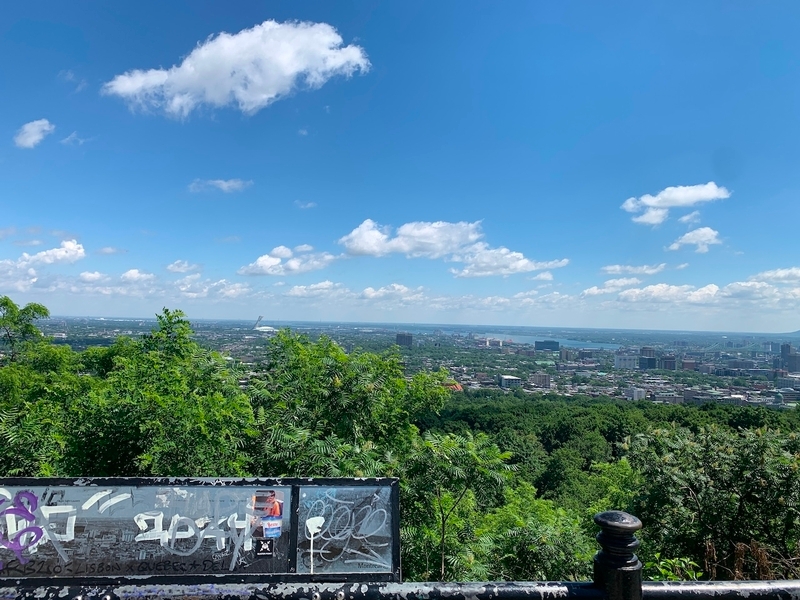 Vue du belvédère Camilien-Houde