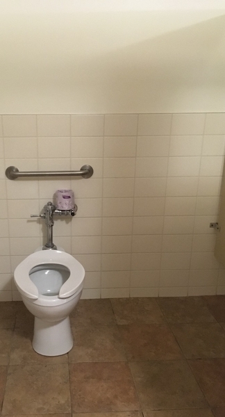 Salle de toilette (femme) - toilette 