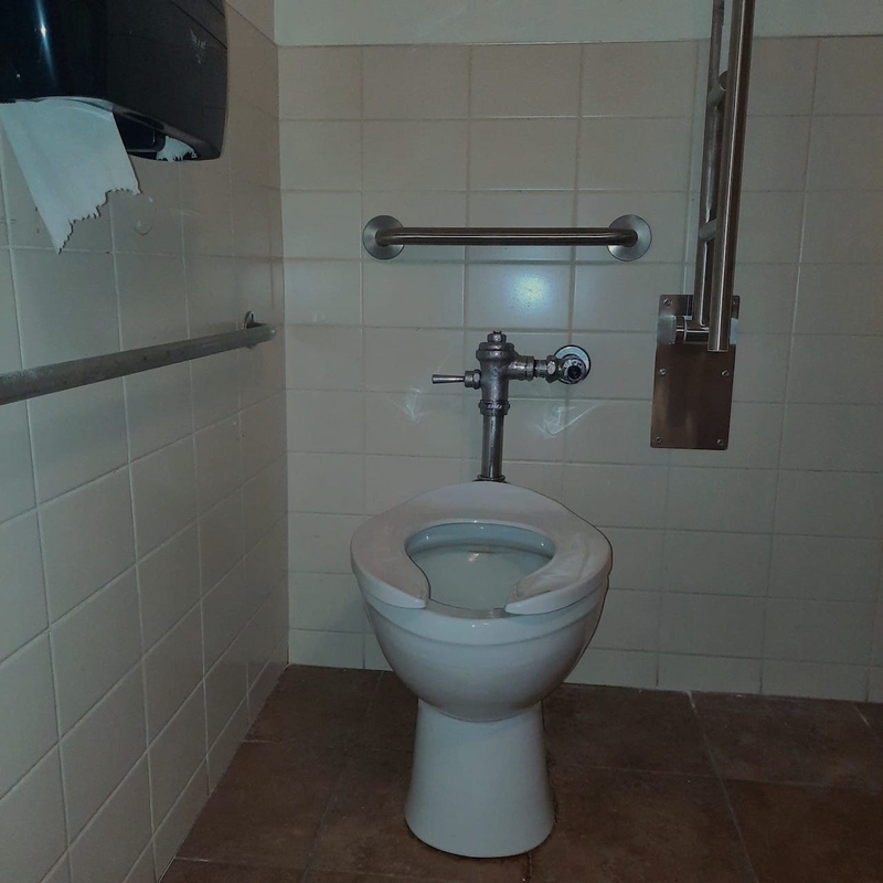 Salle de toilette (femme) - toilette et barres d'appui