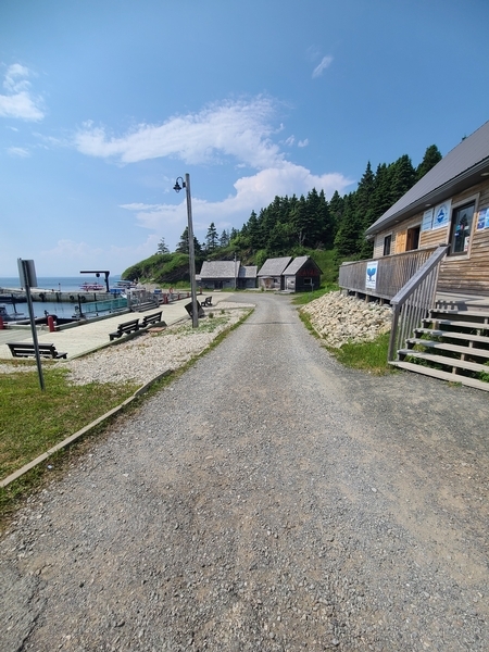 Chemin de gros gravier en pente douce