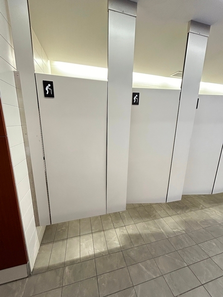 Cabinets de toilettes femmes muni de barres d'appuis