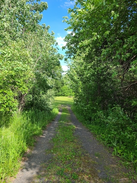 Chemin menant à l'aire de pique-nique (pente de 10% et revêtement non-accessible)