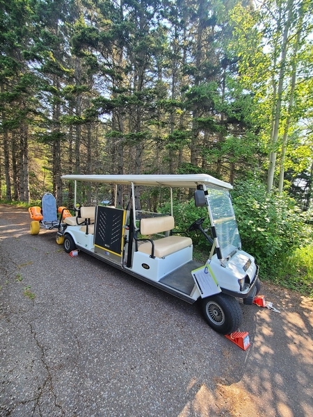 Voiturette électrique adaptée