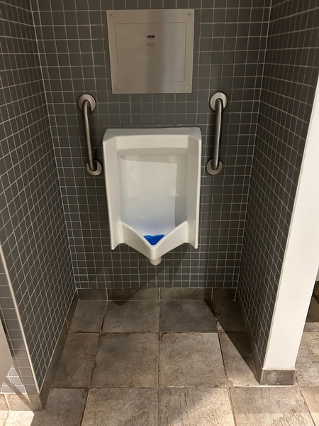 Salle de toilettes homme située au sous-sol 