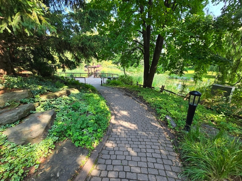 Sentier en pavé uni