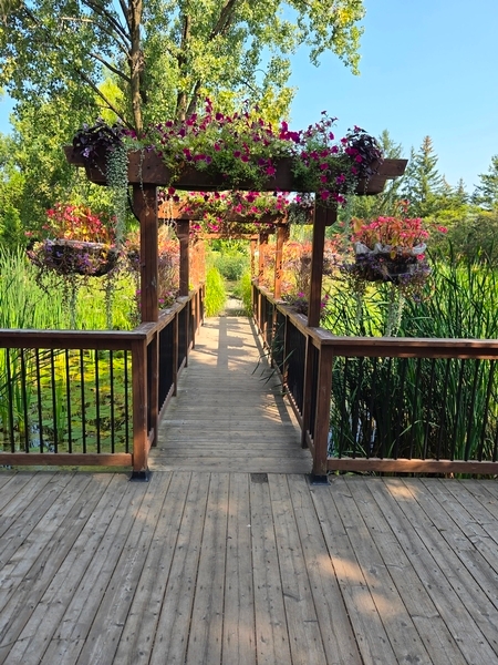 Passerelle de l'étang