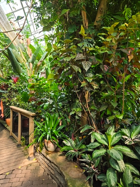 Intérieur de la Serre Horticole