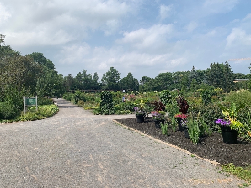 Sentier de l'Herbacetum