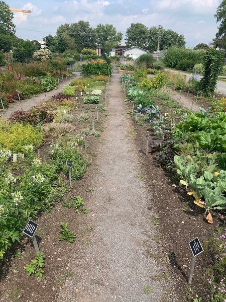 Sentiers de l'Herbacetum