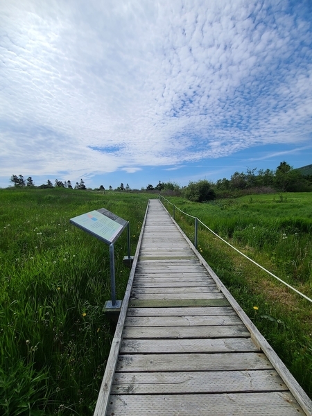 Partie du sentier en bois