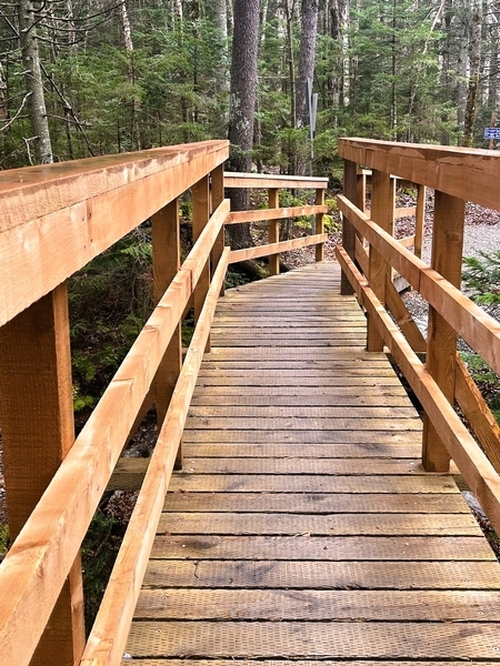 Parcours des passerelles - trottoir de bois