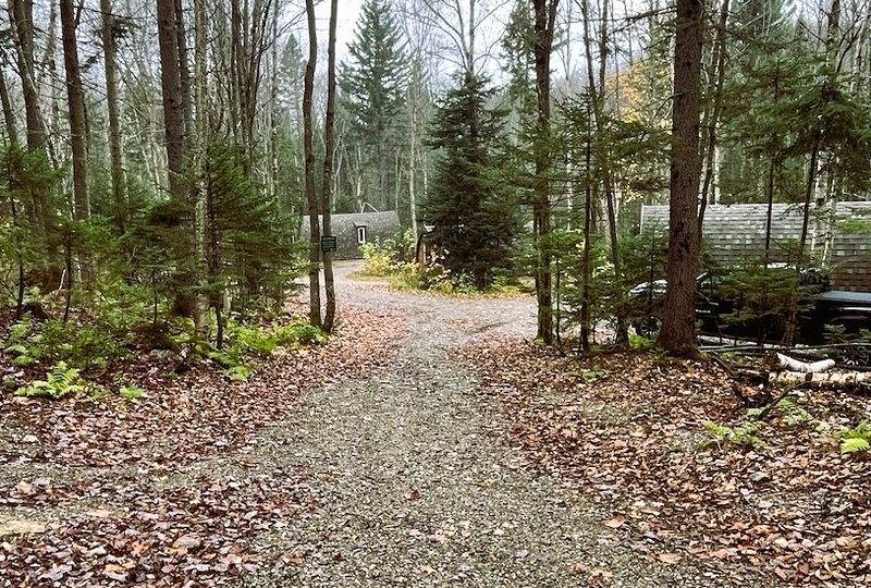 Chemin menant au camping