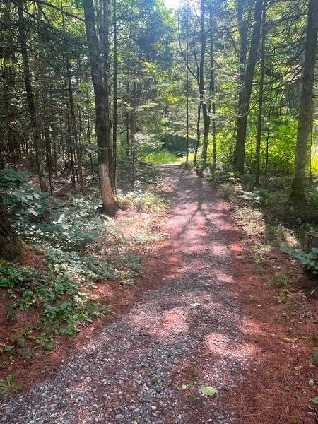 Sentier de la bergerie