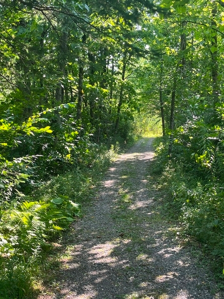 Sentier de la bergerie