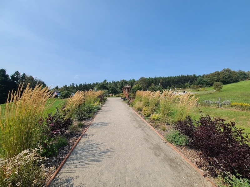 Sentier en poussière de roches compactée