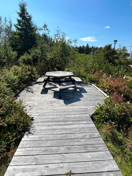 Aire de repos - table à pique-nique accessible