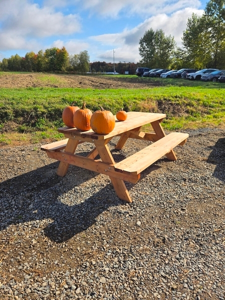 Table à pique-nique