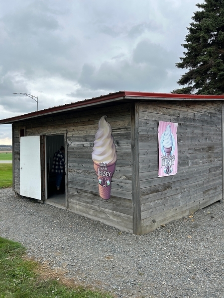 Aire de repas extérieure - cabane en bois