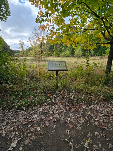 Panneau d'interprétation en retrait du sentier