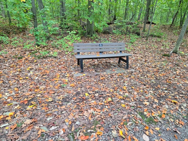 Banc sur le sentier orange