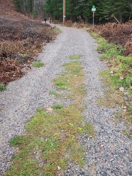 Revêtement en gros gravier