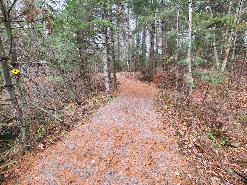 Sentier passant au dessus du ruisseau sans garde-corps